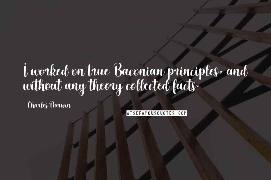 Charles Darwin Quotes: I worked on true Baconian principles, and without any theory collected facts.