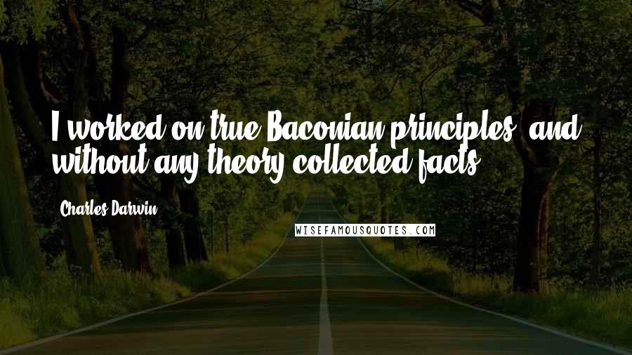 Charles Darwin Quotes: I worked on true Baconian principles, and without any theory collected facts.