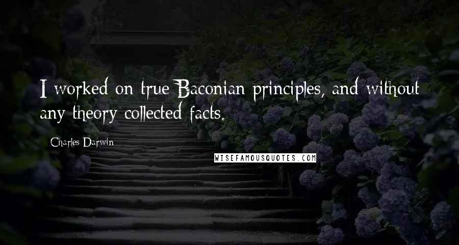 Charles Darwin Quotes: I worked on true Baconian principles, and without any theory collected facts.