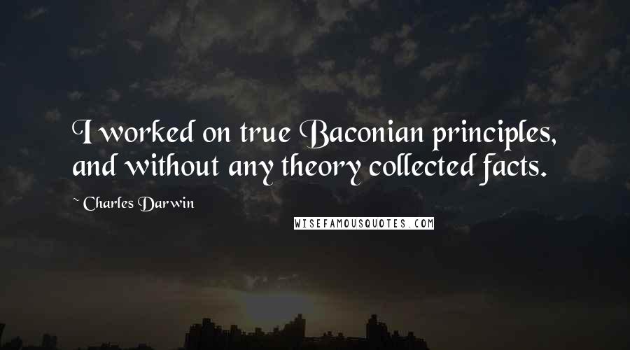 Charles Darwin Quotes: I worked on true Baconian principles, and without any theory collected facts.