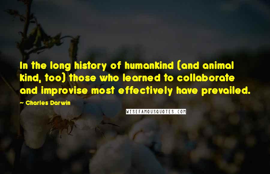 Charles Darwin Quotes: In the long history of humankind (and animal kind, too) those who learned to collaborate and improvise most effectively have prevailed.