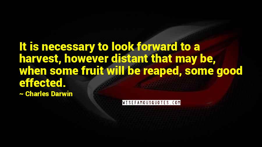 Charles Darwin Quotes: It is necessary to look forward to a harvest, however distant that may be, when some fruit will be reaped, some good effected.