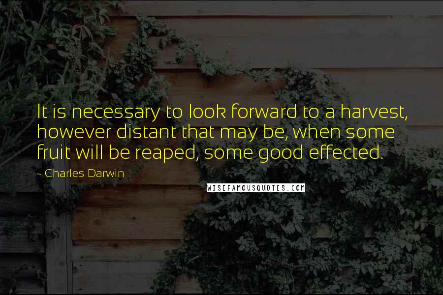 Charles Darwin Quotes: It is necessary to look forward to a harvest, however distant that may be, when some fruit will be reaped, some good effected.