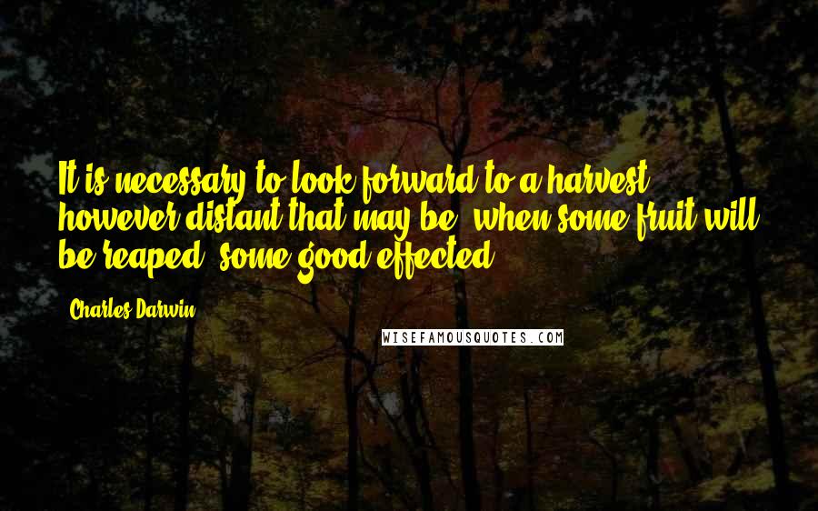 Charles Darwin Quotes: It is necessary to look forward to a harvest, however distant that may be, when some fruit will be reaped, some good effected.