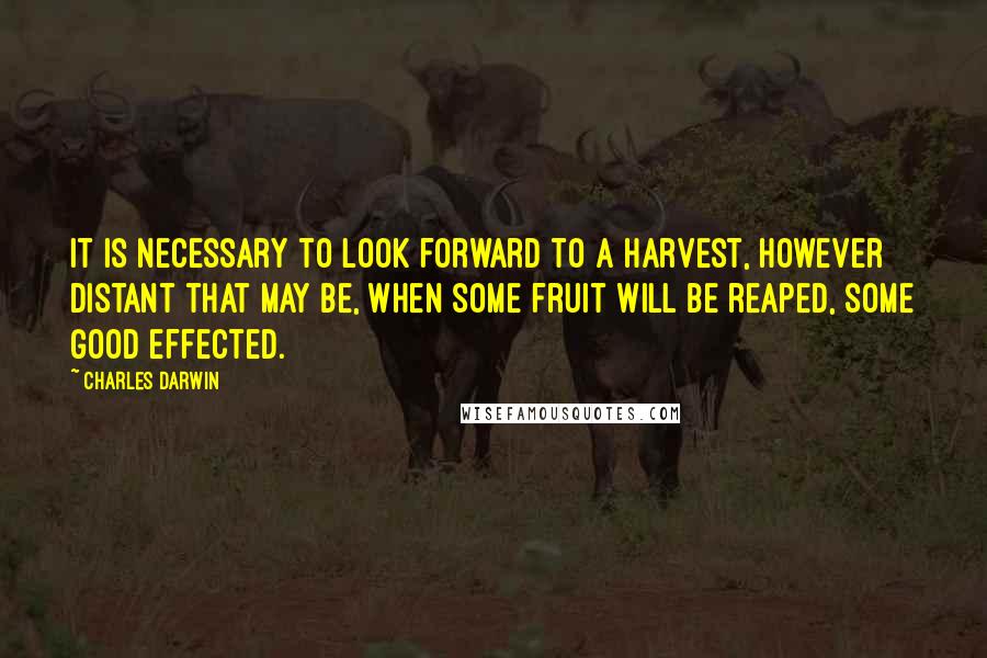 Charles Darwin Quotes: It is necessary to look forward to a harvest, however distant that may be, when some fruit will be reaped, some good effected.