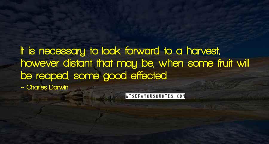 Charles Darwin Quotes: It is necessary to look forward to a harvest, however distant that may be, when some fruit will be reaped, some good effected.