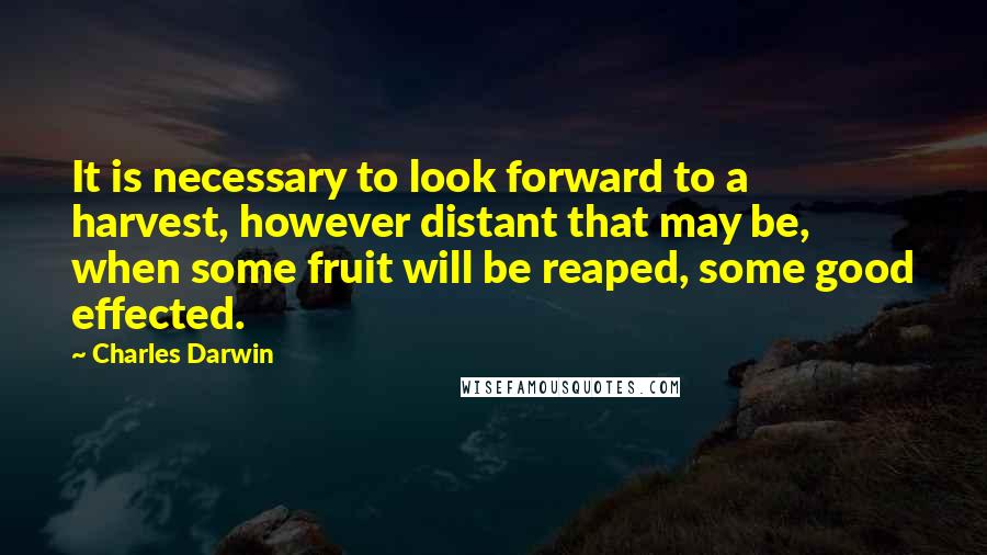 Charles Darwin Quotes: It is necessary to look forward to a harvest, however distant that may be, when some fruit will be reaped, some good effected.