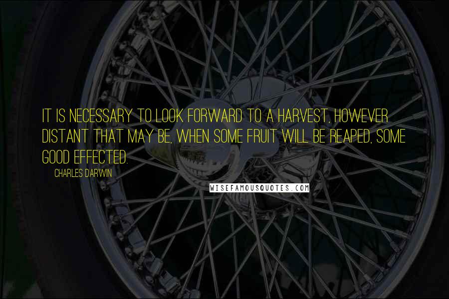 Charles Darwin Quotes: It is necessary to look forward to a harvest, however distant that may be, when some fruit will be reaped, some good effected.