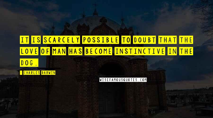 Charles Darwin Quotes: It is scarcely possible to doubt that the love of man has become instinctive in the dog.