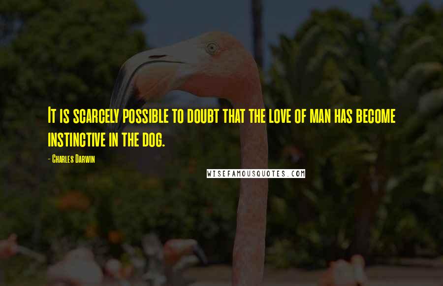 Charles Darwin Quotes: It is scarcely possible to doubt that the love of man has become instinctive in the dog.