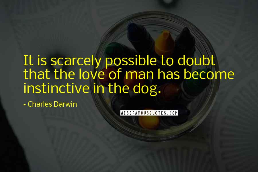 Charles Darwin Quotes: It is scarcely possible to doubt that the love of man has become instinctive in the dog.