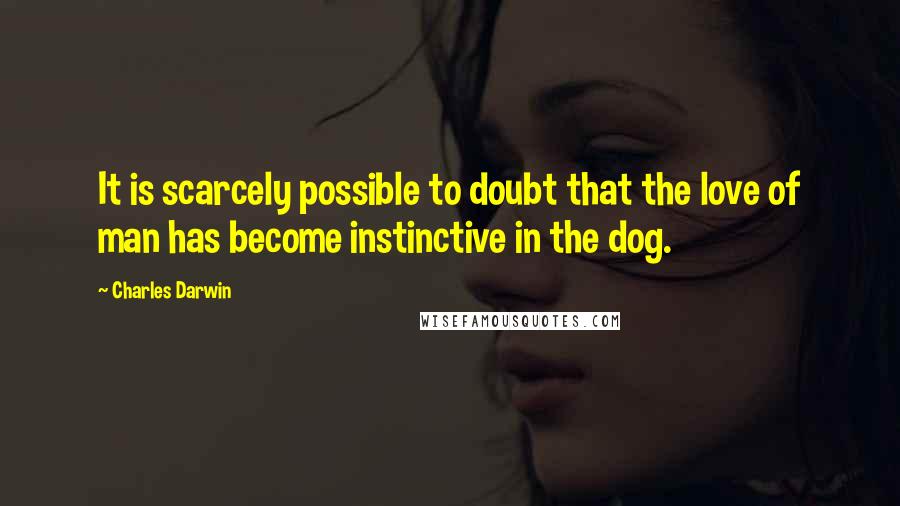 Charles Darwin Quotes: It is scarcely possible to doubt that the love of man has become instinctive in the dog.