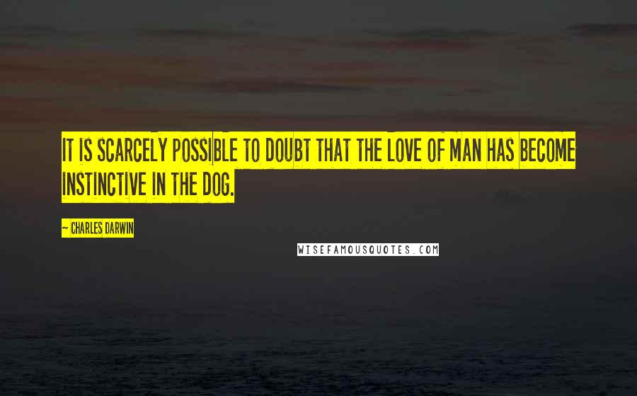 Charles Darwin Quotes: It is scarcely possible to doubt that the love of man has become instinctive in the dog.