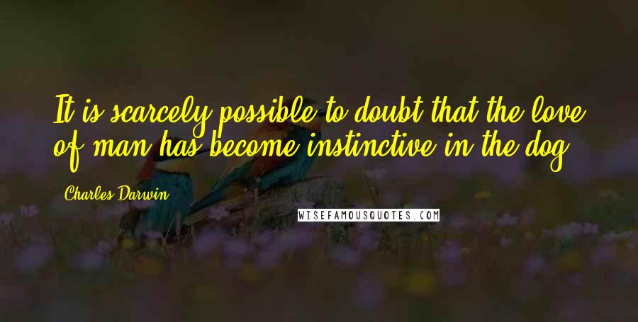 Charles Darwin Quotes: It is scarcely possible to doubt that the love of man has become instinctive in the dog.