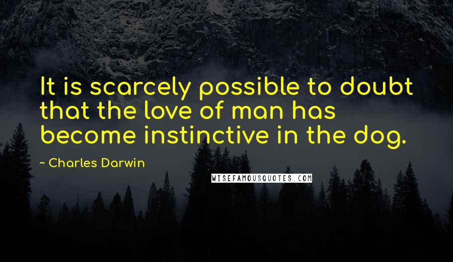 Charles Darwin Quotes: It is scarcely possible to doubt that the love of man has become instinctive in the dog.
