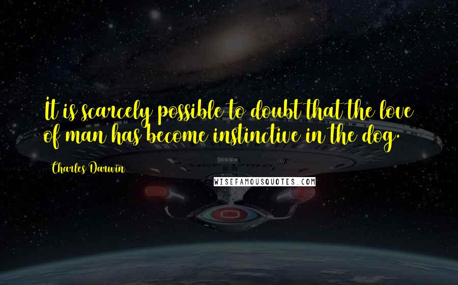 Charles Darwin Quotes: It is scarcely possible to doubt that the love of man has become instinctive in the dog.