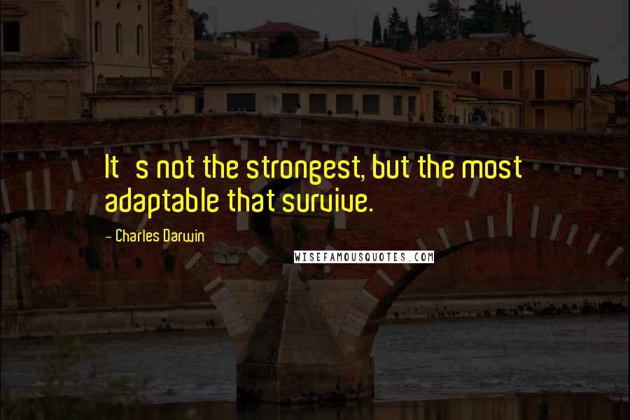 Charles Darwin Quotes: It's not the strongest, but the most adaptable that survive.