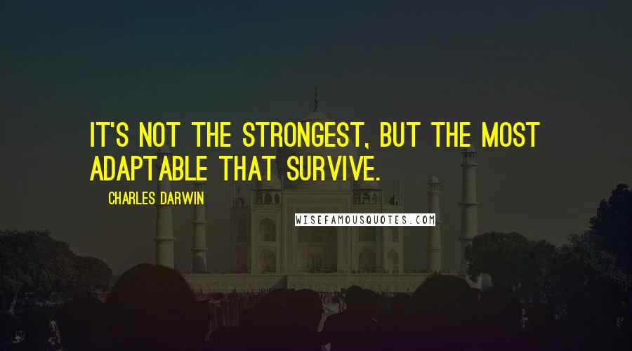 Charles Darwin Quotes: It's not the strongest, but the most adaptable that survive.