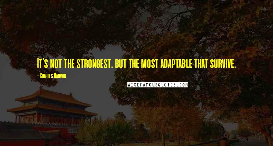 Charles Darwin Quotes: It's not the strongest, but the most adaptable that survive.