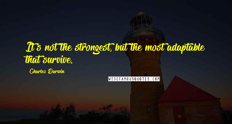 Charles Darwin Quotes: It's not the strongest, but the most adaptable that survive.