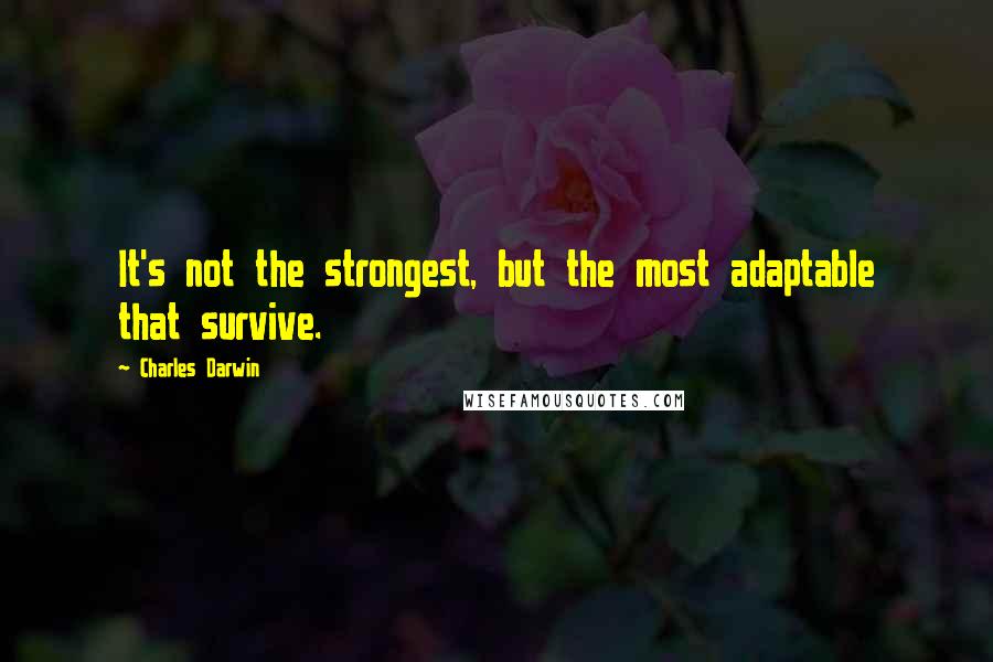 Charles Darwin Quotes: It's not the strongest, but the most adaptable that survive.