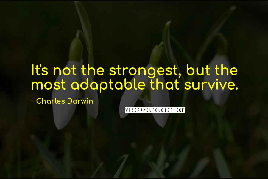 Charles Darwin Quotes: It's not the strongest, but the most adaptable that survive.