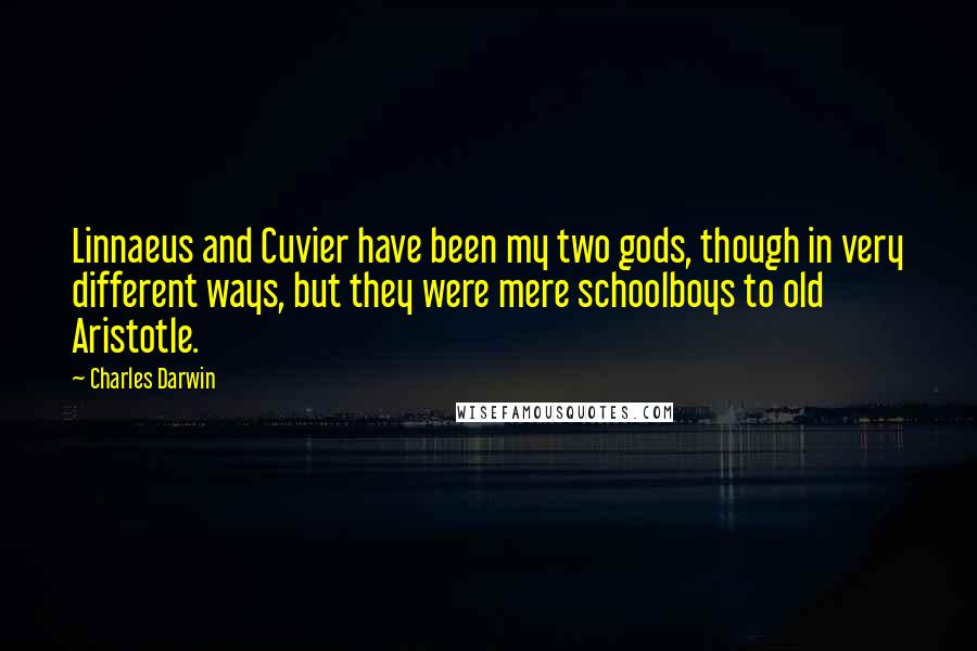 Charles Darwin Quotes: Linnaeus and Cuvier have been my two gods, though in very different ways, but they were mere schoolboys to old Aristotle.