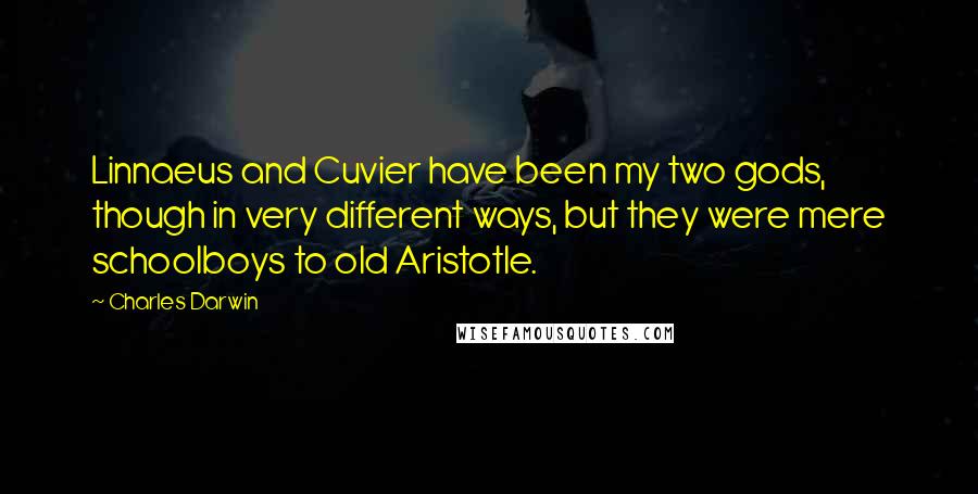 Charles Darwin Quotes: Linnaeus and Cuvier have been my two gods, though in very different ways, but they were mere schoolboys to old Aristotle.