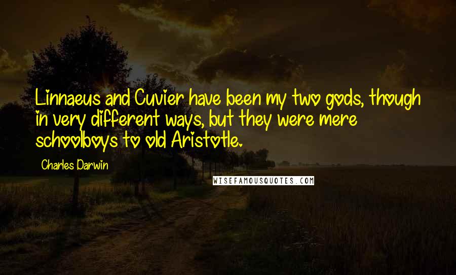 Charles Darwin Quotes: Linnaeus and Cuvier have been my two gods, though in very different ways, but they were mere schoolboys to old Aristotle.