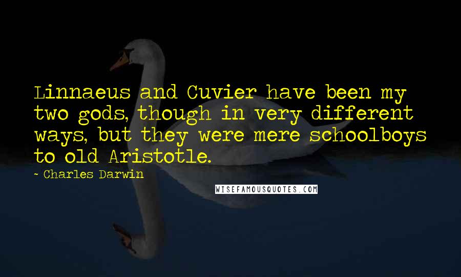 Charles Darwin Quotes: Linnaeus and Cuvier have been my two gods, though in very different ways, but they were mere schoolboys to old Aristotle.