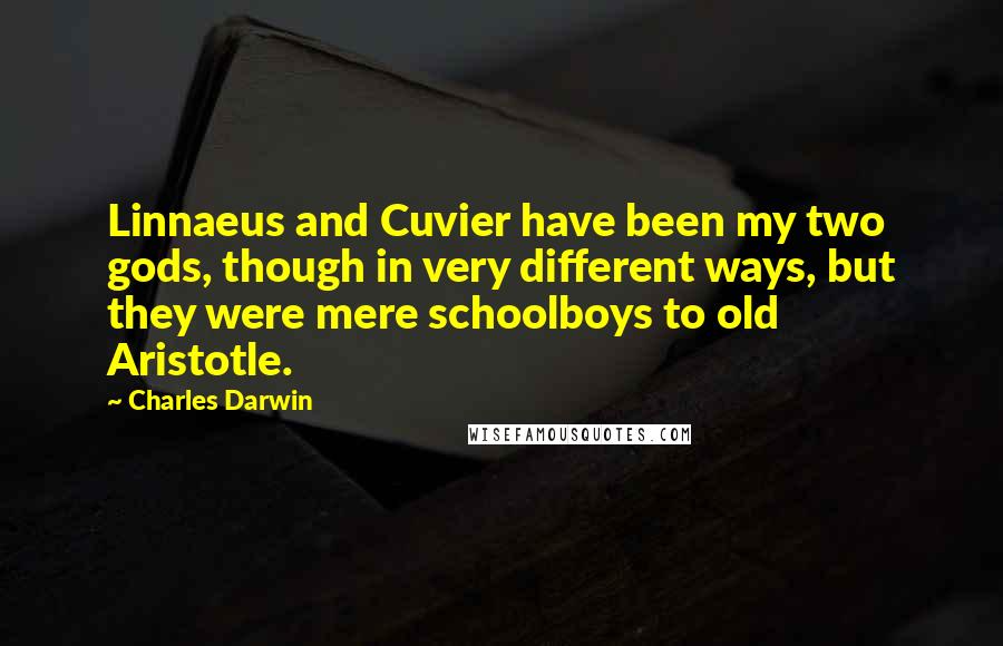 Charles Darwin Quotes: Linnaeus and Cuvier have been my two gods, though in very different ways, but they were mere schoolboys to old Aristotle.