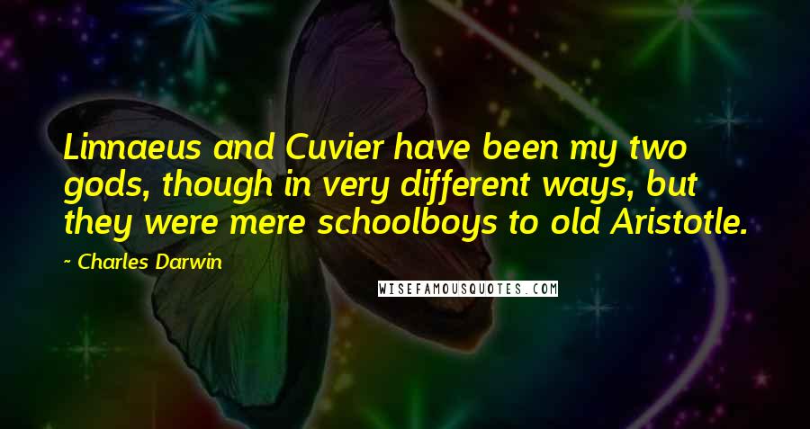 Charles Darwin Quotes: Linnaeus and Cuvier have been my two gods, though in very different ways, but they were mere schoolboys to old Aristotle.