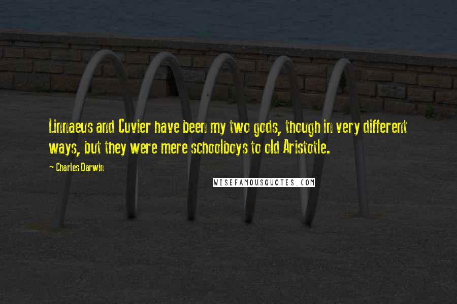 Charles Darwin Quotes: Linnaeus and Cuvier have been my two gods, though in very different ways, but they were mere schoolboys to old Aristotle.