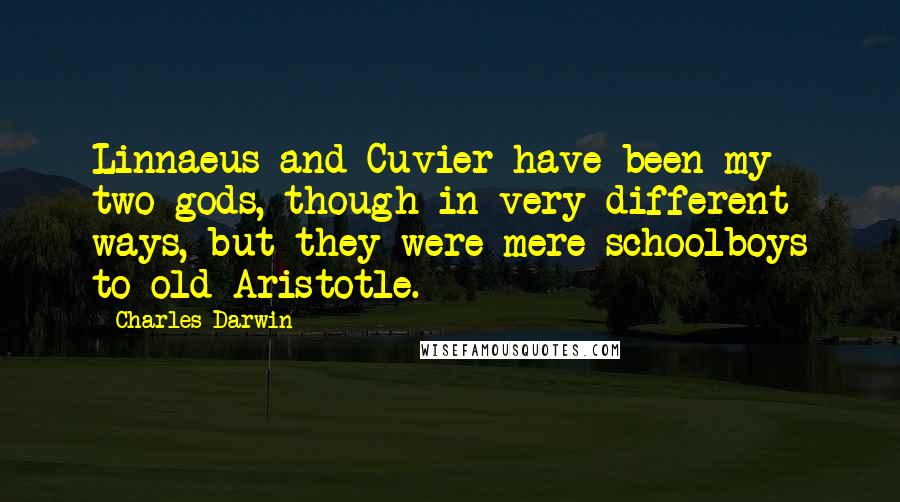 Charles Darwin Quotes: Linnaeus and Cuvier have been my two gods, though in very different ways, but they were mere schoolboys to old Aristotle.