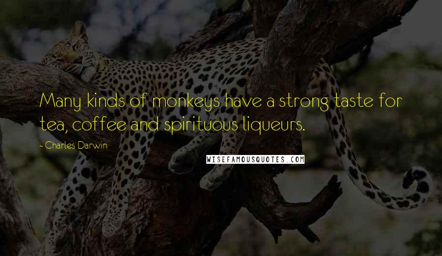 Charles Darwin Quotes: Many kinds of monkeys have a strong taste for tea, coffee and spirituous liqueurs.