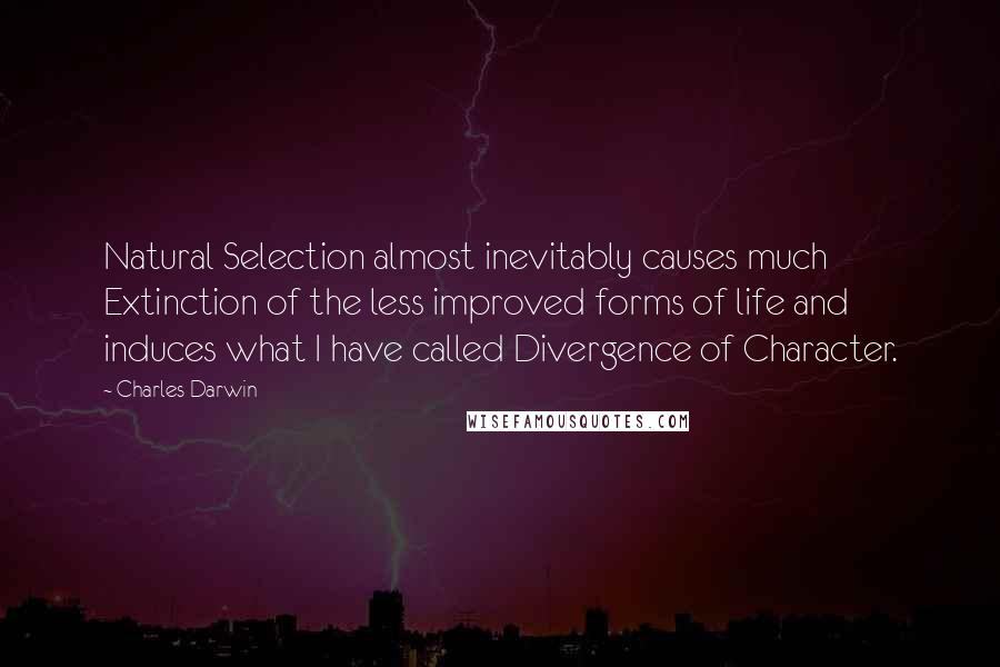 Charles Darwin Quotes: Natural Selection almost inevitably causes much Extinction of the less improved forms of life and induces what I have called Divergence of Character.