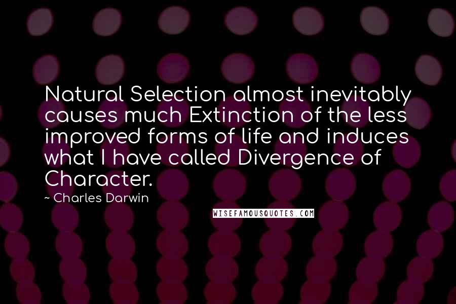 Charles Darwin Quotes: Natural Selection almost inevitably causes much Extinction of the less improved forms of life and induces what I have called Divergence of Character.
