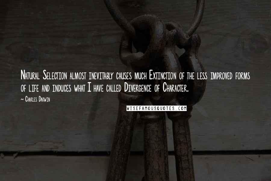 Charles Darwin Quotes: Natural Selection almost inevitably causes much Extinction of the less improved forms of life and induces what I have called Divergence of Character.