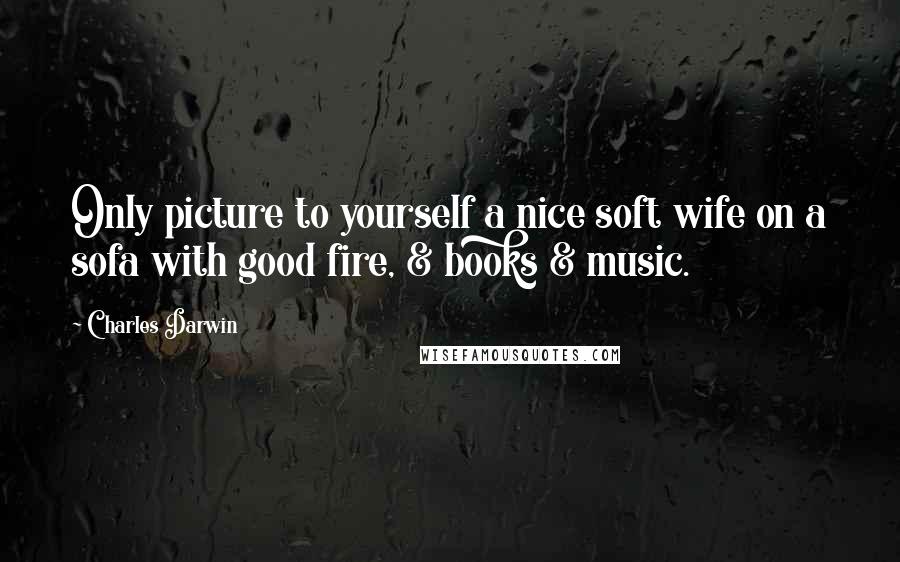 Charles Darwin Quotes: Only picture to yourself a nice soft wife on a sofa with good fire, & books & music.