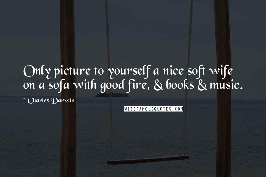 Charles Darwin Quotes: Only picture to yourself a nice soft wife on a sofa with good fire, & books & music.