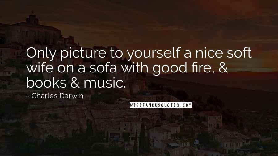 Charles Darwin Quotes: Only picture to yourself a nice soft wife on a sofa with good fire, & books & music.