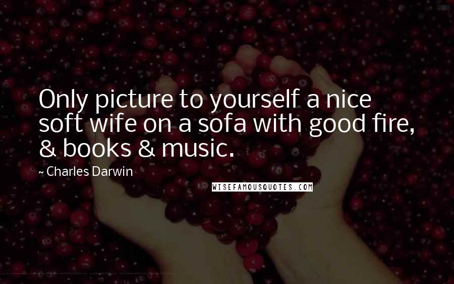 Charles Darwin Quotes: Only picture to yourself a nice soft wife on a sofa with good fire, & books & music.