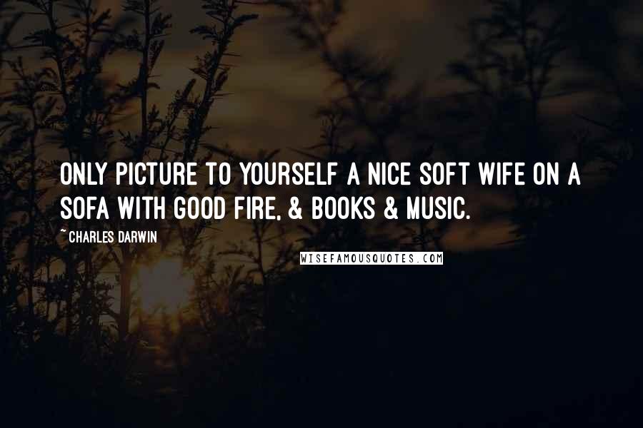 Charles Darwin Quotes: Only picture to yourself a nice soft wife on a sofa with good fire, & books & music.