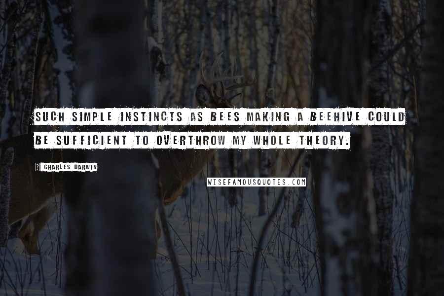 Charles Darwin Quotes: Such simple instincts as bees making a beehive could be sufficient to overthrow my whole theory.