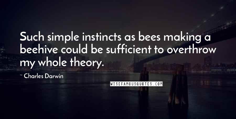 Charles Darwin Quotes: Such simple instincts as bees making a beehive could be sufficient to overthrow my whole theory.