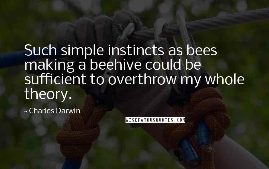 Charles Darwin Quotes: Such simple instincts as bees making a beehive could be sufficient to overthrow my whole theory.