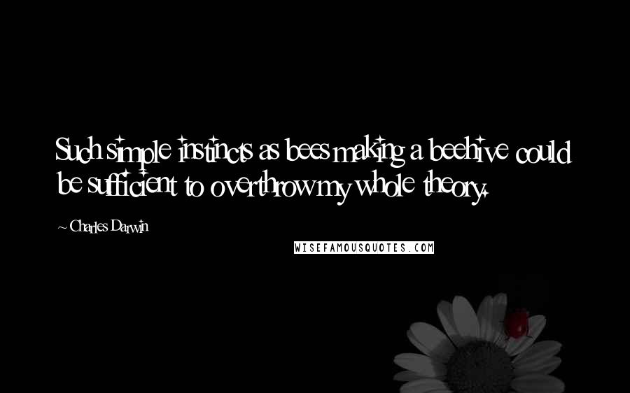 Charles Darwin Quotes: Such simple instincts as bees making a beehive could be sufficient to overthrow my whole theory.