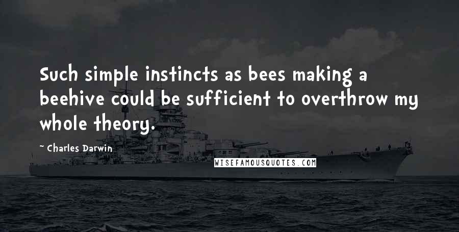 Charles Darwin Quotes: Such simple instincts as bees making a beehive could be sufficient to overthrow my whole theory.