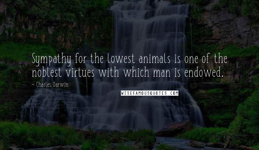 Charles Darwin Quotes: Sympathy for the lowest animals is one of the noblest virtues with which man is endowed.