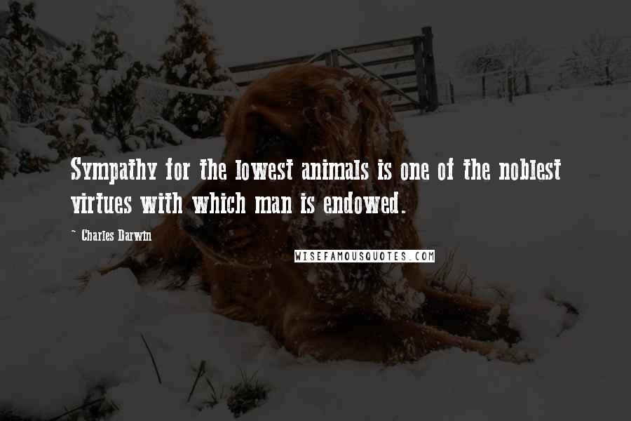 Charles Darwin Quotes: Sympathy for the lowest animals is one of the noblest virtues with which man is endowed.